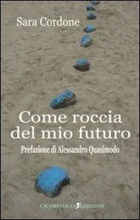 Spedizione Espresso Come roccia del mio futuro