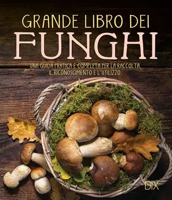 Grande libro dei funghi. Una guida pratica e completa per la raccolta, il riconoscimento e l‘utilizzo Esclusivo