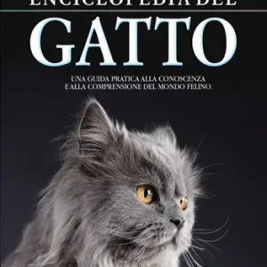 Solo Oggi Enciclopedia del gatto. Una guida pratica alla conoscenza e alla comprensione del mondo felino
