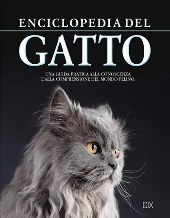 Solo Oggi Enciclopedia del gatto. Una guida pratica alla conoscenza e alla comprensione del mondo felino