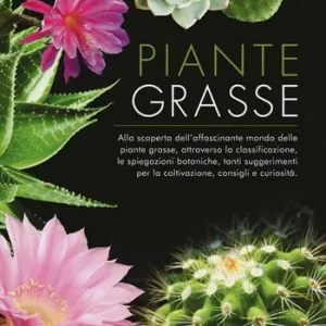 Piante grasse Sconto