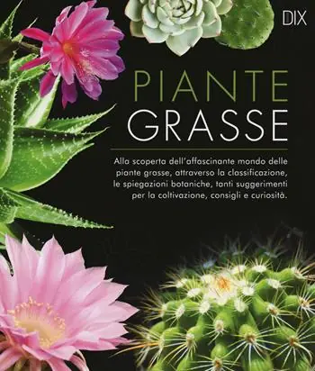 Piante grasse Sconto
