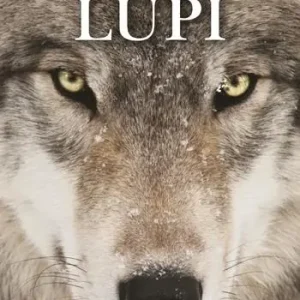 Lupi. Ediz. a colori Solo Oggi