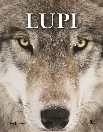 Lupi. Ediz. a colori Solo Oggi