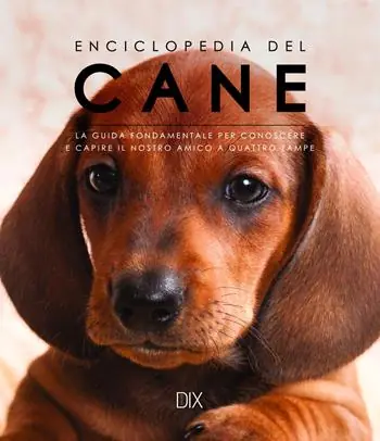 Enciclopedia del cane. La guida fondamentale per conoscere e capire il nostro amico a quattro zampe Bestseller