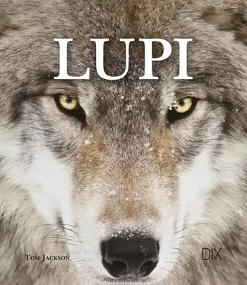 Lupi Pagamento Sicuro