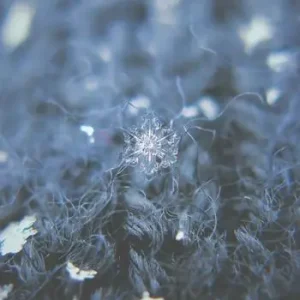 La neve è altrove. Ediz. multilingue Spedito Oggi