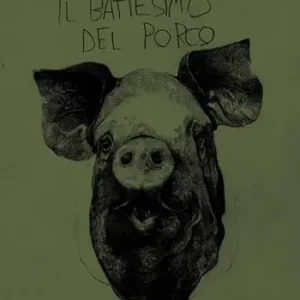 Il battesimo del porco Novità