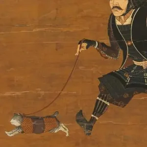 Saldi Onon il gatto