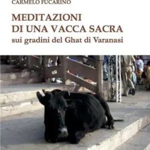 Meditazioni di una vacca sacra sui gradini del Ghat di Varanasi Compra Oggi Stesso