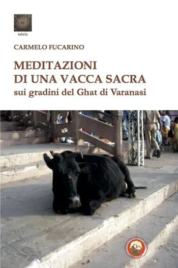 Meditazioni di una vacca sacra sui gradini del Ghat di Varanasi Compra Oggi Stesso