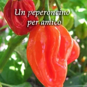 Un peperoncino per amico Sconto