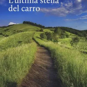 L‘ultima stella del carro Ordina Subito