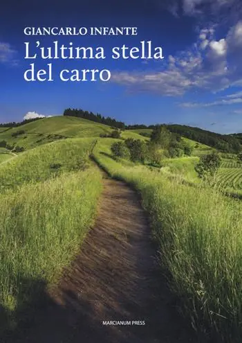 L‘ultima stella del carro Ordina Subito