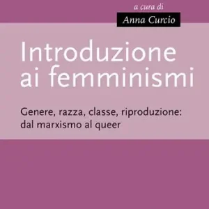 Compra Oggi Stesso Introduzione ai femminismi. Genere, razza, classe, riproduzione dal marxismo al queer