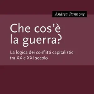 Che cos‘è la guerra? La logica dei conflitti capitalistici tra XX e XXI secolo Prezzo Basso