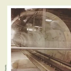 Giù in metrò. Società, arti e culture Acquista Ora