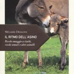 Il ritmo dell‘asino. Piccolo omaggio a ciuchi, vecchi somari e altri asinelli Offerta Lampo