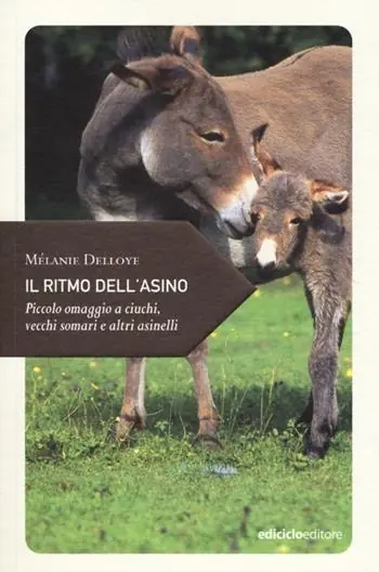 Il ritmo dell‘asino. Piccolo omaggio a ciuchi, vecchi somari e altri asinelli Offerta Lampo