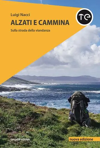 Saldi Alzati e cammina. Sulla strada della viandanza. Nuova ediz.