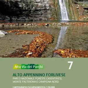 Alta via dei parchi 1 50.000. Nuova ediz.. Vol. 7 Alto Appennino forlivese. Parco nazionale Foreste Casentinesi, monte Falterona e Campigna nord Economico
