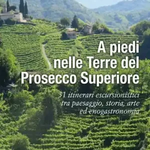 Offerta Del Giorno A piedi nelle Terre del Prosecco Superiore. 31 itinerari escursionistici tra paesaggio, storia, arte ed enogastronomia