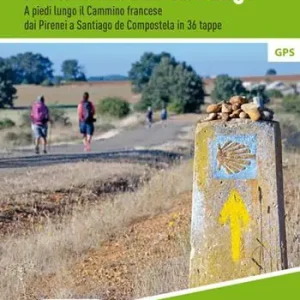 Il cammino di Santiago. A piedi lungo il Cammino francese dai Pirenei a Santiago de Compostela in 36 tappe. Nuova ediz. Offerta Lampo