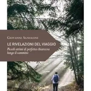 Ordina Subito Le rivelazioni del viaggio. Piccoli attimi di perfetta chiarezza lungo il cammino