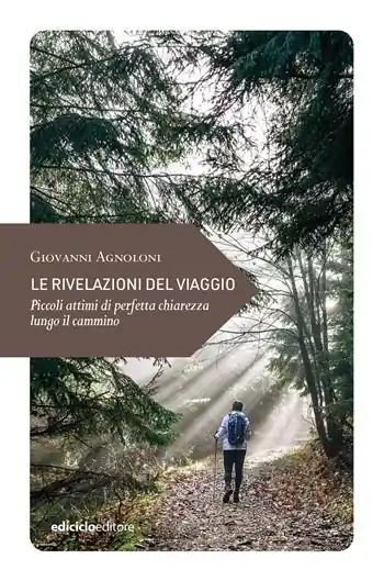 Ordina Subito Le rivelazioni del viaggio. Piccoli attimi di perfetta chiarezza lungo il cammino