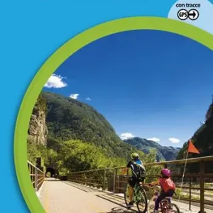 Ciclovia Alpe Adria. Villach-Tarvisio-Grado-Trieste. Ediz. a spirale Must-Have