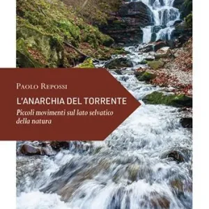 L‘anarchia del torrente. Piccoli movimenti sul lato Di Tendenza