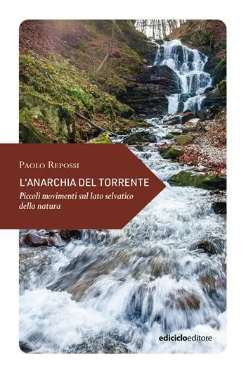L‘anarchia del torrente. Piccoli movimenti sul lato Di Tendenza