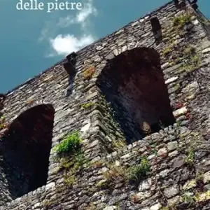 La paziente attesa delle pietre Offerta Lampo