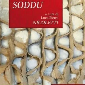 Subito Disponibile Stefano Soddu. Ediz. illustrata