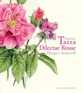 Prezzo Basso Aurora Tazza. Dilectae rosae. Disegni e acquarelli