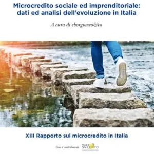 Acquista Ora Microcredito sociale ed imprenditoriale dati analisi dell‘evoluzione in Italia