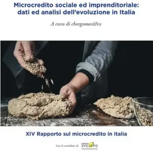 Microcredito sociale ed imprenditoriale dati analisi dell‘evoluzione in Italia Subito Disponibile
