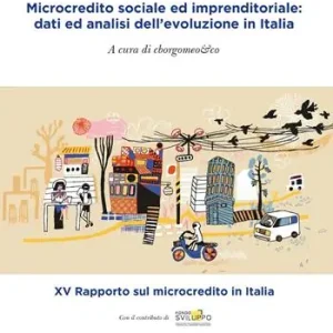 Microcredito sociale ed imprenditoriale dati analisi dell‘evoluzione in Italia Compra Adesso
