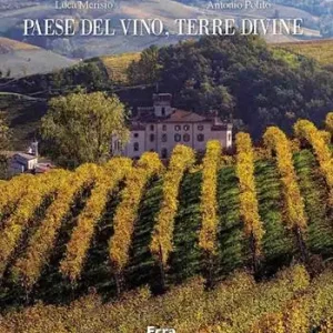 Ordina Subito Paese del vino, terre divine. Ediz. a colori
