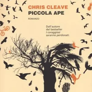 Spedito Oggi Piccola ape
