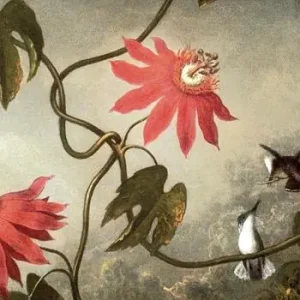 Il botanico inglese Economico