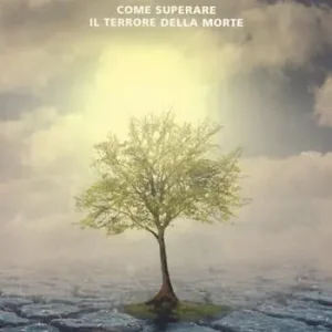 Affare Fissando il sole