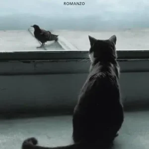 Io sono un gatto Novità