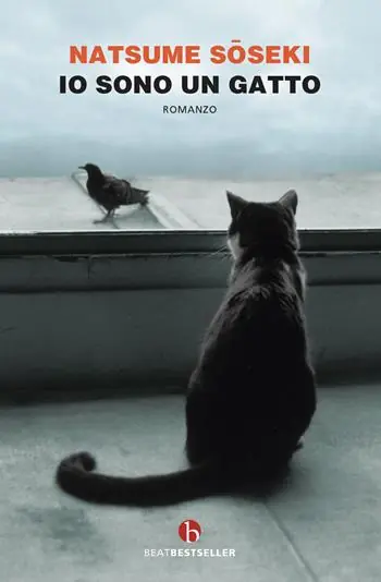 Io sono un gatto Novità