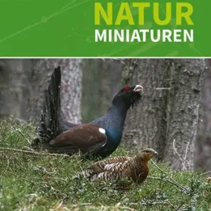 100 naturminiaturen aus dem Vinschgau und dem Nationalpark Silfserjoch Non Perdere