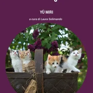 La casa del gatto Non Perdere