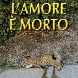Bestseller L‘ amore è morto