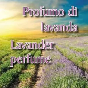 Profumo di lavanda. Ediz. italiana e inglese Promo Stagionale