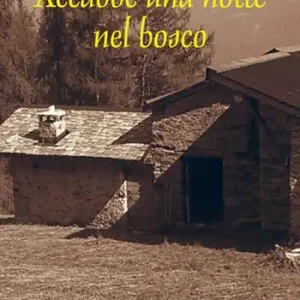 Accadde una notte nel bosco Sconto