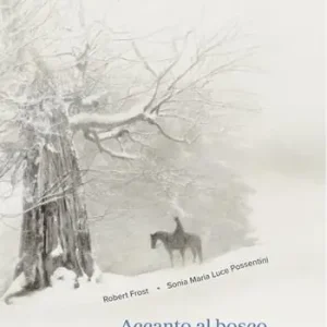 Spedizione Espresso Accanto al bosco in una sera di neve